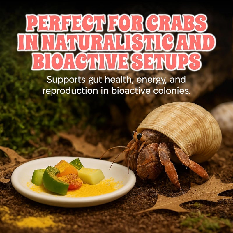 Snout and Shell Bee Pollen Powder for Hermit Crabs – Natural Food Supplement for Molting & Recovery – Auto Feeder Safe Powder Food Topper – No Filler Crab Nutrition Booster – 2.5 oz - Image 4